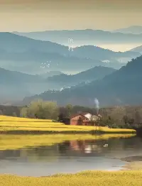 不在別人心中修行自己，也不在自己心中強求別人，人生本過客，何必千千結。配圖