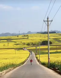 當你屏蔽外界的聲音
在無人問津的地方默默修煉
心無旁騖，深耕自己
才能不斷走向強大配圖