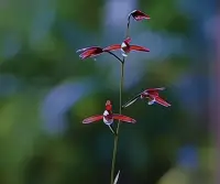 沒(méi)有什么事情可以真正傷害到你
對(duì)未來(lái)之事的焦灼、災(zāi)難性后果的預(yù)設(shè)
只是大腦對(duì)你的欺騙
情緒來(lái)臨的時(shí)候，去感受
你可以質(zhì)疑它，但不要去回應(yīng)它
就讓它像水一般流走配圖