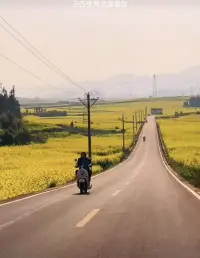 也許現(xiàn)在的你很累，
也許你覺(jué)得自己還不夠優(yōu)琇，
但請(qǐng)記住，每一個(gè)努力的日子，
都是在為未來(lái)的自己鋪路。
你不需要和別人比較，
只需要比昨天的自己更好。配圖