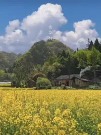 魯迅先生說：人類的悲歡并不相通。我們一直執拗地認為別人就應該理解我，支持我，甚至必須要懂我。
關系越親密，這種感受，越深刻.你是這么想的嗎？
這是天大的誤解。配圖
