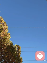 放下消除焦虑最好的方法就是，把焦虑的事情一点一点梳理清楚，分析哪些是无法改变的现状，哪些是我们应该做的事情。要接受现状，然后去做能做的事情，过程中一定要允许失败。这样每做成一件事情，焦虑就会消失一点。配图