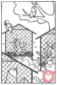 鸡在发生亲密行为时，周围的鸡往往会被吸引过来围观，场面一度非常拥挤。这种“围观”并不只是看热闹，而是信息收集。
谁受欢迎、谁地位高、谁值得靠近，都会在这些瞬间被快速判断。配图