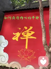 恬淡虚无 真气从之 精神内守 病安从来？配图