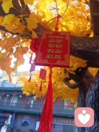 成为自己，心生欢喜