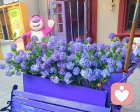 成为自己，心生欢喜