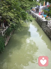 生活或許不易，但請記得，你不是孤單一人。在這個平臺上，我們傾聽師愿意成為那個在你需要時，默默傾聽、給予支持的港灣。配圖