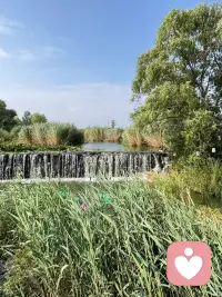 真正的傾聽，?不僅僅是耳朵的接受，?更是心靈的觸碰和理解。?配圖