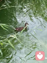 歲月匆匆，不忘初心，我們用心聆聽(tīng)彼此，在今后的日子，我們?nèi)匀蝗绱恕Ｅ鋱D