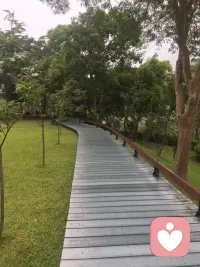 你敞開心扉，健康生活向你招手。每一次的傾述，都是邁向美好生活的開始！配圖