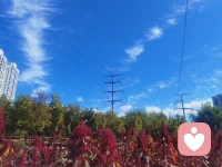 很喜歡這樣一句話：最痛苦的事情不是失敗，而是未能嘗試全力以赴、未能盡力去實(shí)現(xiàn)夢想。——阿爾伯特·榮格。配圖