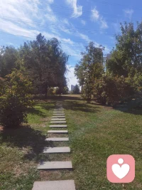 很喜歡這樣一句話：最痛苦的事情不是失敗，而是未能嘗試全力以赴、未能盡力去實(shí)現(xiàn)夢想。——阿爾伯特·榮格。配圖