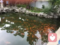 我們都不完美，但都有權(quán)利追求完美。專業(yè)的傾聽(tīng)?zhēng)煂⒃谀钚枰臅r(shí)候?yàn)槟峁┲С趾凸膭?lì)，幫助您實(shí)現(xiàn)內(nèi)心深處的夢(mèng)想。配圖
