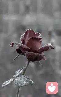 好久沒來了，大家都過的怎么樣？