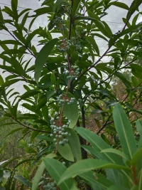 你我皆黑馬，輸贏還為定。
你只管努力，花果留明天。
不帶有色眼鏡去做事。
不帶濾鏡去看人。
你認為對的盡管去做。
在這個時代，內驅力是最好的源頭。配圖