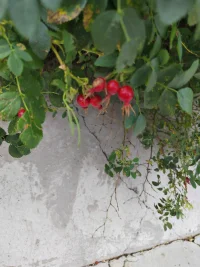 生活中的美好需要你去發現，在點滴之間就能遇到配圖