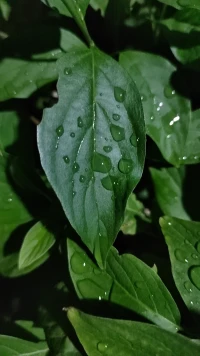 生活中的美好需要你去發現，在點滴之間就能遇到配圖