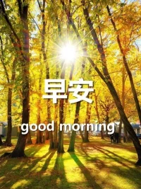 过去的已然成为回忆，未来难以捉摸。唯有当下才是最真实的，唯有脚下的路才是最踏实的。不要总是幻想未来而忽略了眼前的美好，我们要稳稳地走好每一步，珍惜每一天的时光，周六快乐!