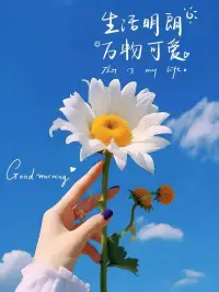 人活一世世，都是在拼搏努力中度过，没有人能够轻易成功，人要有远大的志向，人可以穷，但是志气不能短，一切都靠自己争取，加油努力，就会创造奇迹！早安！