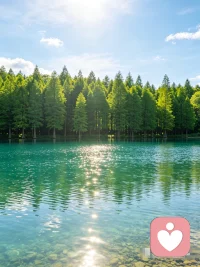 不必和自己较劲，不必和生活为难
所有纠结与内耗，都会在温柔陪伴里慢慢消散。