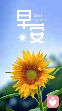 嶄新的一周開始，是起點(diǎn)，也是希望；在陽光升起時(shí)，嘴角上揚(yáng)，微笑出發(fā)，與美好不期而遇配圖