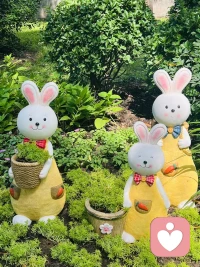 在內(nèi)心的平靜中找到力量。 真正的力量不在于外在的喧囂，而在于內(nèi)心深處的平靜與自信。配圖