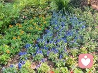 不要害怕脆弱，它是成長的開始。 在承認脆弱的瞬間，我們開啟了自我理解與自我接納的大門，這正是個人成長的起點。配圖