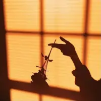 不必把別人的成長課題
包攬在自己身上
把受傷的權利還給對方
也把成長的機會還給他
把你身上的重擔卸下
把松弛與力量還給自己配圖