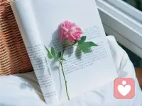 請把自己的感受置頂，消息是可以不用秒回的，拒絕別人是不用感到內疚的，不喜歡的聲音是可以裝聽不到的，感覺不被尊重是可以轉身離開的，讓別人不高興也是沒關系的
你來人間一趟不是來受盡委屈的，所以你不用總想著做一個好人。因為沒有完全人，一個都沒有。配圖