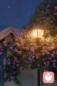 為什么男人喜歡冷暴力?
從心理學角度來講，男人普遍存在一種“洞穴機制”。即男人習慣在面對壓抑情緒的時候，獨自逃避到自己的洞穴里去療傷。
而女人則更愿意用交流和表達的方式來發泄疏導自己的情緒。
如何應對男人的洞穴機制?
很簡單，當你感覺到你的男人開始逃避或者是冷暴力的時候，不要去跟他爭吵、糾纏，給他點兒空間，讓他在他的洞穴里安靜地待一會兒。
記住!千萬不要逼著男人出來，因為這樣會打破他內心的安全感。而這個時候你要做的，就是讓自己開心起來，等他出來的時候，讓他看到一個熱情洋溢的你。
這樣做，反而會讓你們的感情更進一步。配圖