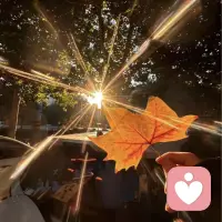 此心光明，亦復(fù)何言！配圖