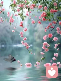 常言道：處事平易添和氣，遇事不急磨脾氣，海納百川養大氣。
生活就像一場修行，未來的路我們無法預測，能做的就是調整好自己的心態，多些和氣，多些大氣，少些脾氣，事情才會朝著我們期待的方向發展，人生才會絢麗多姿。配圖