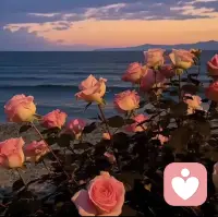 人不傷己，歲月無恙
人的大多數(shù)痛苦都是自找的。領導批評了你幾句，愛人一個嫌棄的眼神，朋友的一句玩笑話，你的心態(tài)就崩了，情緒就炸了，然后歇斯底里地消耗自己。不是別人做了多傷害你的事，而是你自己瞧不起自己，傷害你自己。
一個人只有坦然看待自己的時候，才能真正做到情緒穩(wěn)定。凡事向內求，與其要求外界，抱怨他人，不如接受任何形態(tài)的你自己。不必苛求他人的理解和認可，一旦你降低了期待，甚至沒有了期待，你會發(fā)現(xiàn)所有的關系都舒服了o
你若不傷，歲月無恙。人一旦自己有一顆快樂的心，心無旁騖地去做自己喜歡的事，風雨便成了見證。你要你自己快樂，那么任何人都阻止不了你快樂。人一旦有了一顆“不傷己”的心，心里有陽光，臉上有笑容，那么歲月悠長，都是坦蕩。配圖