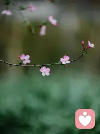 你的情緒沒有對(duì)錯(cuò)之分，只是需要找到合適的方式去表達(dá)和釋放。我愿意傾聽你的聲音。配圖