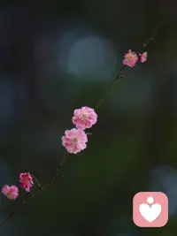 初中生遭遇校園欺凌怎么辦?|從內(nèi)因?qū)ふ彝黄疲貥?gòu)你的社交模式你是不是覺得自己與眾不同?思維敏捷，見解獨特，但總覺得融不進班級的氛圍?這種格格不入的感覺，往往是校園欺凌的潛在導火索。其實，高認知帶來的優(yōu)越感會在不經(jīng)意間形成一道無形的墻。當我們習慣性地用俯視的角度看待他人，即使表現(xiàn)禮貌，內(nèi)心的距離感也會被他人敏銳捕捉到，這往往是矛盾的起因。神經(jīng)科學研究表明，人際關(guān)系中的鏡像神經(jīng)元會讓我們下意識模仿和靠近彼此認同的對象。當我們帶著思想的優(yōu)越感與人交往時，這種自然的社交連接就被切斷了，甚至產(chǎn)生對立和排斥。改變從觀念開始：試著放下我比別人聰明的想法,用平視的目光重新認識周圍的人。在與同學互動時，你可以嘗試這樣做：真誠贊美他人的優(yōu)點(也許他就那一個優(yōu)點)主動參與集體活動(或許你并不喜歡這項活動)學會用他人能接受的方式表達(換位思考可以提升你的觀察力思維認知)培養(yǎng)共同話題和興趣(有助于培養(yǎng)你的情商人際交往能力)當然，這不是要你否定自己的特質(zhì),而是學會在保持個性的同時，建立起與他人的情感連接。當你能發(fā)自內(nèi)心地欣賞他人時，那道無形的墻自然會消失。配圖