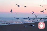 歡迎找我傾訴，每一個人都需要這樣一種空間，在這里可以自由的表達，可以接納你所有的情緒,可以不用擔心被批評、評價、指責和嘲笑。即使說出你最真實的想法，也是安全的，它是你內心連接外界的過渡性空間，在這里，你可以暫時歇一歇，更好的理解自己認識自己，然后整一整行囊，更好的出發。配圖