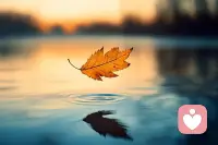 有怨氣，就找方法發泄出來，或運動，或傾訴，或痛哭一場.……不管哪一種，都是情緒的出口。
不把怨氣堆積在心里，否則，它會影響你感受世間美好的能力。配圖