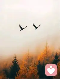 不要美化你没有选择的那条路很多事情，正是因为错过了，才忍不住去遐想、去美化，才显得异常美丽。想象出来的美好，都是片面的，它只是你在心中构建出来的一片理想化的乐土。人总是这样，对于拥有的，往往视而不见，不甚珍惜;而对于失去的、得不到的，却充满了无尽的思念与向往。你心中那条最好的路，只是你臆想的结果。如果真的如你所愿，你会发现，现实往往与想象大相径庭。那些看似美好的事物，在柴米油盐的琐碎中，会变得索然无味;那些你曾经憧憬的场景，也会在日复一日的重复中失去光彩。不要美化你没有选择的那条路，也不要让遗憾成为你心中的执念。或许，你拥有的并不完美，但却是真真切切属于你的，是最值得你去关注的。别让这份已有的幸福悄然流逝。珍惜当下，珍惜已经拥有的，你会发现，生活的美好其实一直都在你身边。配图