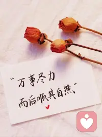 早上好呀！配图