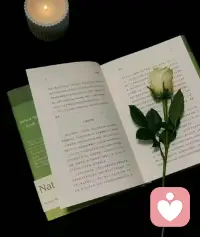 如果道理不是自己悟出来的，谁说都没用，过来人的话，没过来的人是听不进去的。配图