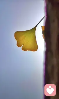 把孩子的每一次进步，都看在眼里。他们的愿望很简单，是希望被父母看见和肯定。一个欣赏的眼神，一句赞美的话语......足以让孩子感受到切身的温暖。配图