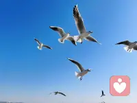 【分享·25个自我肯定对话】
1.我可以克服困难
2.错误帮助我成长
3.我可以尝试新的事物
4.对自己和他人说善意友好的话
5.我在学习中不断成长和进步
6.我会尝试不同的方法直到解决问题
7.大脑就像身体肌肉一样，在我的努力下，会越用越活
8.我一直学习和成长中，即使遇到瓶颈和困难
9.我很满意现在这样的我
10.我选择专注在自己可以控制的事情上
11.我是勇敢的
12.当我需要的时候，我可以寻求帮助
13.我可以感受到自己的所有感受
14.我有创意的想法
15.我是有心理韧性的
16.我可以帮助他人
17.我相信自己的梦想可以实现
18.我本富足，让自己拥有美好的一天
19.我感恩：可以有新的一天和机会让世界更美好
20.我遵循自己的内心
21.我是一个好的朋友
22.每一天我在越变越好
23.今天我会直面恐惧
24.我选择和自己做比较，做最好的自己
25.我本富足配图