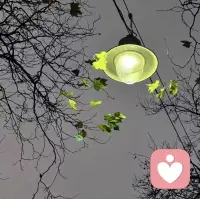 【咨询有感】
万家灯火的背后
日日上演什么样的家庭场景
爱，如何在家庭中生发出来爱，如何从心底涌出配图