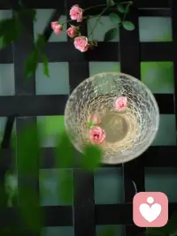 曾经有人问我，失去的东西回来了还要吗? 
我说，曾经丢了一粒扣子， 等到找回那粒扣子时，我已经换了衣服。 

人与人之间没有谁离不开谁，只有谁不珍惜谁。 无论是故友还是红颜，一个转身，二个世界。配图