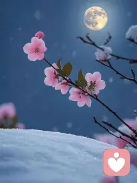 ²⁰²⁴/₁₂.₂₁❄️今日冬至❄️一年将别，来日方兴，岁月无声，静候新春。愿你冬至福至，美好如期而至。配图