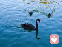 那个最坏的结果
往往是我们自己想出来的
而且就算真发生了
也不会天塌的
没我们想的那么糟糕
所以勇敢去面对
你会瞬间不焦虑
没有什么事是
五个深呼吸
也冷静不下来的
人生就是急也没用
放宽心，深呼吸
慢慢来，可以的配图