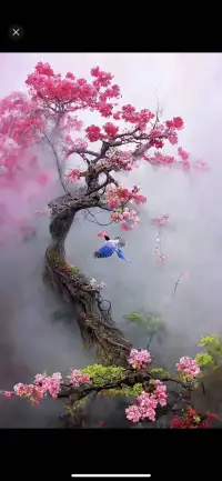 我是一切的根源
愛是一切的答案配圖
