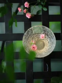如果你改变看待事物的方式，
你所看的事物也会随之改变。配图