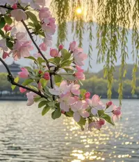 深度的创伤，在开始时可能需要借用绷带来保护，但若要彻底治愈，就必须把创伤暴露于空气和阳光之中。