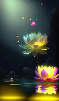 别总盯着自己的缺点，你身上的优点，够你活得漂漂亮亮了。